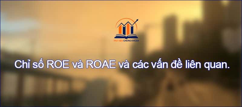Chỉ số ROE và ROAE và các vấn đề liên quan.