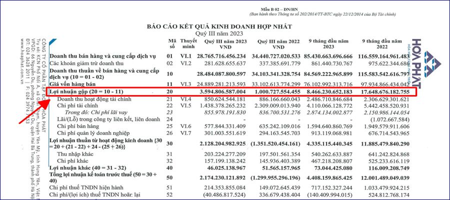 minh họa lãi gộp của HPG