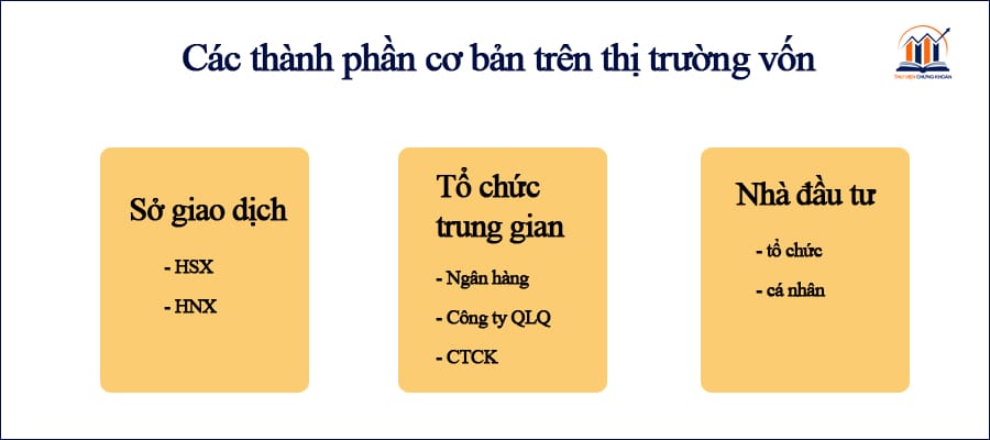 các thành phần cơ bản trên thị trường vốn