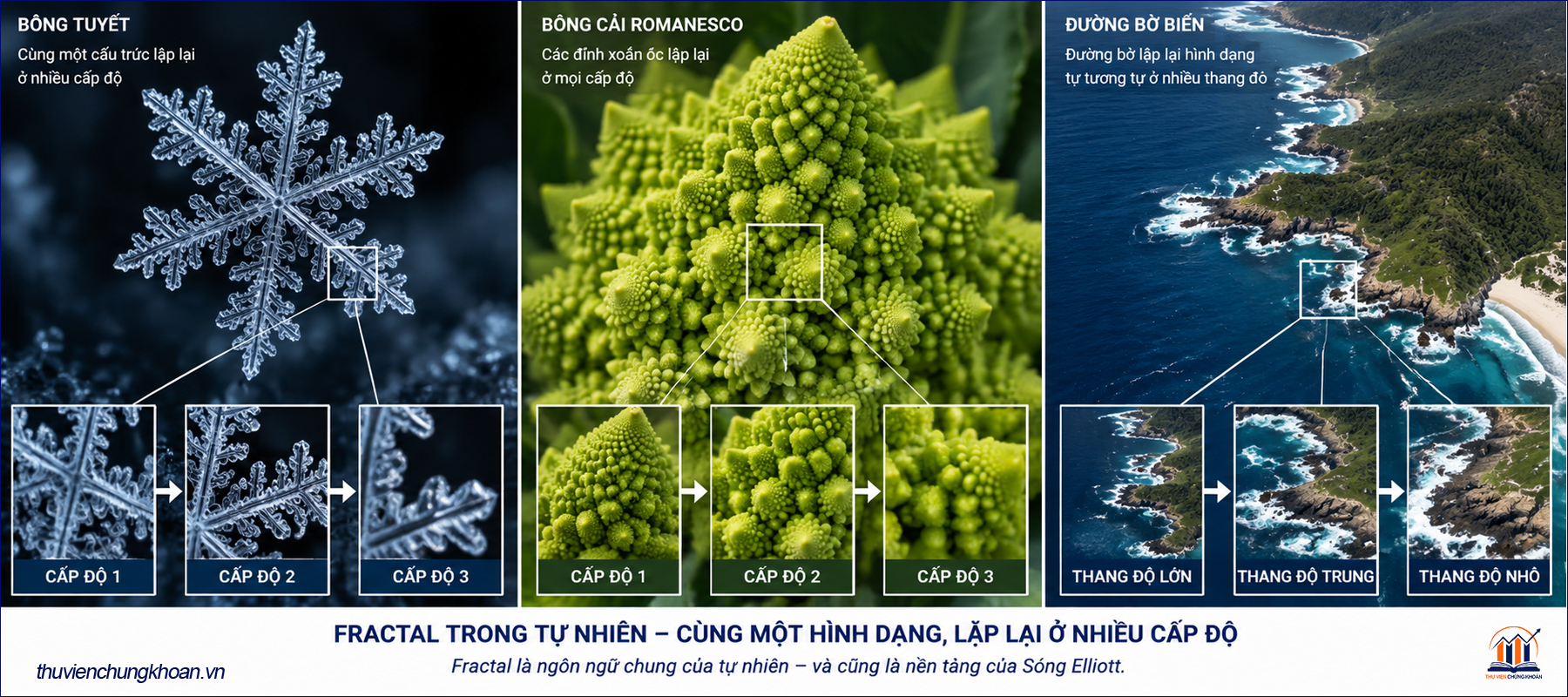 Anh minh hoa fractal trong tu nhien